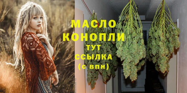 2c-b Горняк