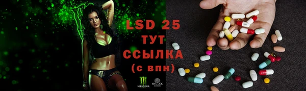 2c-b Горняк