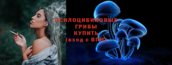 2c-b Горняк
