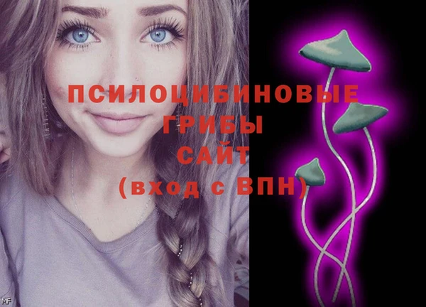 2c-b Горняк